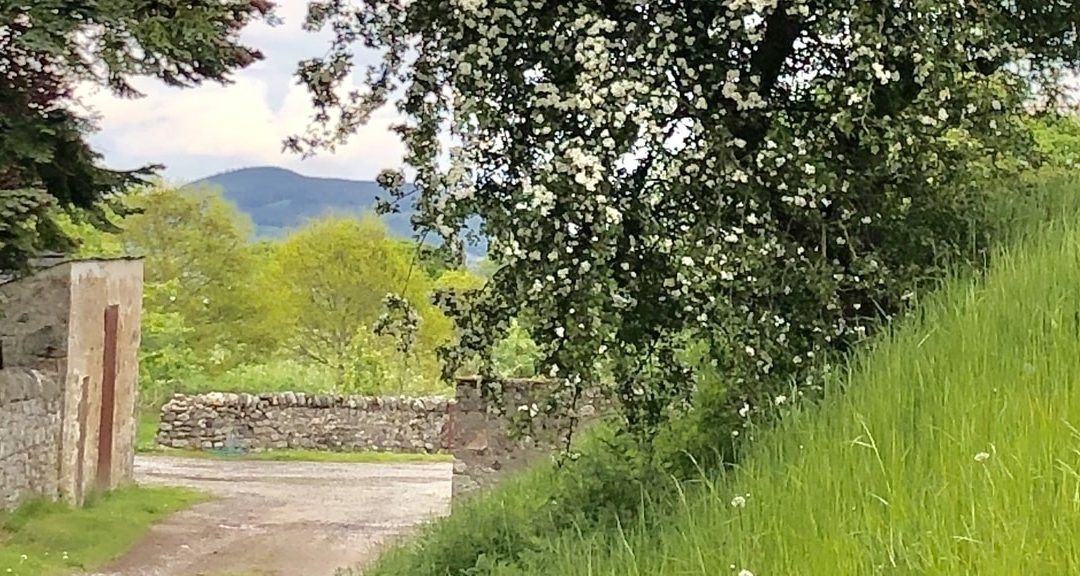 The May is Going Over