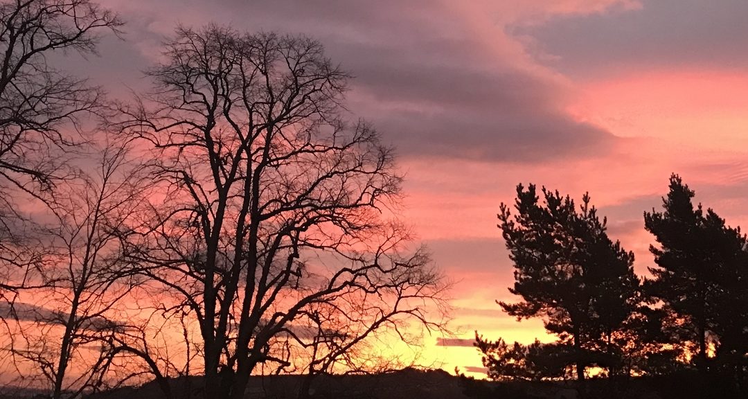 On Walking And Living With Nearly 20 Hours Of Daylight… Or More